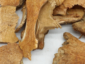 �����ڵĹ�Ч���� �������η�ʪ�Խ����ʹ