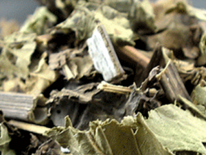 ˮ�����Ĺ�Ч���� ˮ�����ε�������ʹ