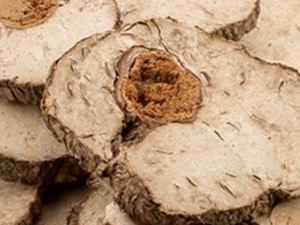 ����ľ�Ĺ�Ч���� ����ľ�ν�����ʹ