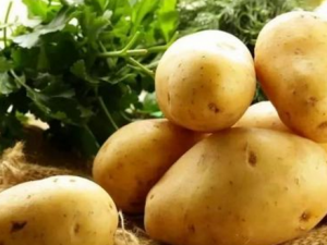 ����Ӫ���ḻӦ���ѡ�� �����ѡζ������