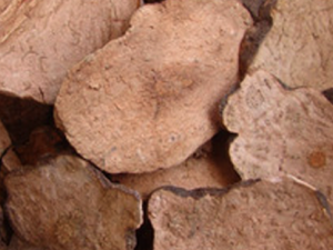 ӵĹЧ ӻѪֹѪ׽ⶾ