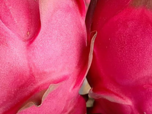 �и�������ô�� �и����ص�ʳ��ƫ��