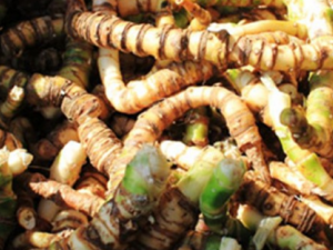 ��ɽ�����Ĺ�Ч���� ��ɽ������̵�ⶾ��Ѫ����