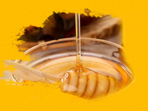 8�����Ʊ��������� һ����������