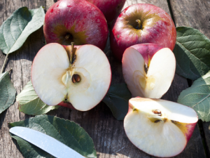 С����������С���� С��ֹ��ƫ������Ч��5�ַ���