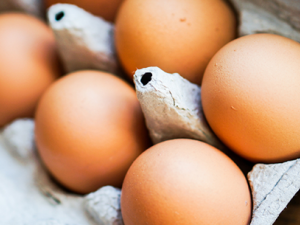 ��������ʳ��ƫ����ȫ