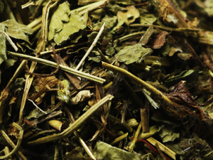 ��ݮ�Ĺ�Ч���� ��ݮ����ϸ��������