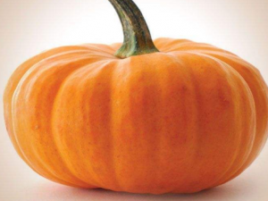 ��Щ�˲��˳��Ϲ� ���ѡ���ʹ洢�Ϲ�