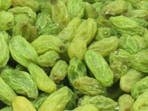 ʲô�������Ѹɺ��� �����ѡ���Ѹɺ���