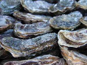 ����������ѡ�Ϻõ�ĵ�� ĵ�õ�����