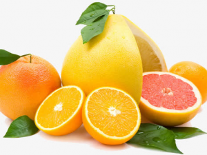 ��ô��ѡ������ ���Ӿ����⹦Ч��֪����