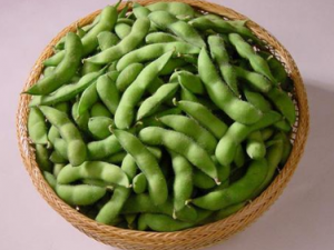 ë����Ӫ����ֵ �����ѡë��