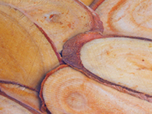 �����Ĺ�Ч���� �������θʹθ�����