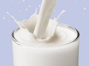 �ļ������г�ҩ����Щ��