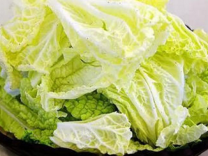 û����͸�İײ�����ЩΣ�� û����͸�İײ˲��ܳ�Ŷ