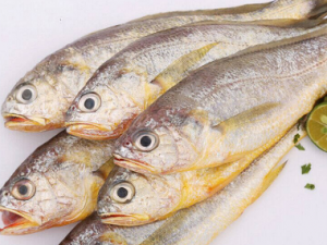 ʲô���Ļƻ���� �����ѡ�ƻ�����