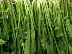 ѩ��ޮ��Ӫ����ֵ �����ѡѩ��ޮ��