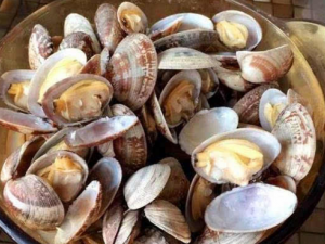 ��������ЩӪ����ֵ �����ѡ����