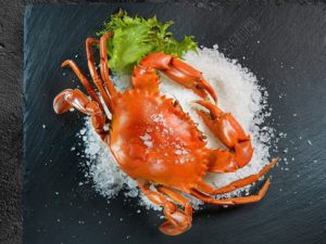 ��з��ע������ ��з���ߴ�������˽�һ�°�