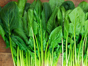 ���˵ĺ��������� ������Բ��˿�����