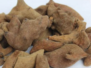 �屶���ڳ�Ĺ�Ч���� �屶���ڳ��γ�������