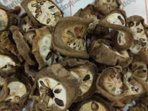 Ԥ֪�ӵĹ�Ч���� Ԥ֪���δ�縹���г�