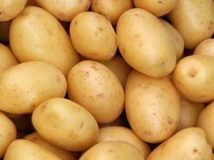 �и����Գ������� �и������������ʹ����̥������