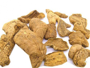 �ڽ��Ĺ�Ч������ �ڽ���������ʧѪ