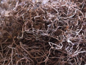 ����ݵĹ�Ч������ �����ʳ�÷���