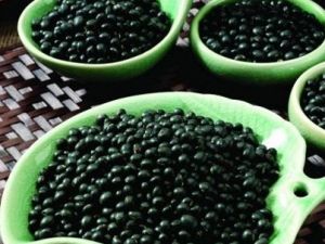 ��ɫ��ʳ��������ڽ��� ����ʳ��Ҫע��