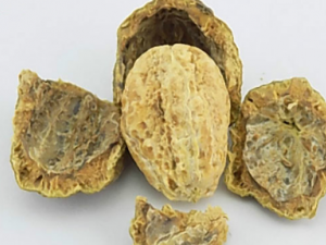 ڭ�Ӻ˵Ĺ�Ч���� ڭ�Ӻ˿�ֹ�ȼ���