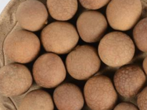 ���β�����ʲô�� ���β�����Сƫ��