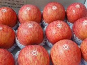 ��ˮ����õ�ҲҪ����������ѡ��