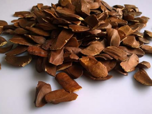 ������������빦Ч �����������������