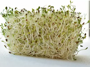 ����ʪ���ص�ԭ�� ����ʪ�������������