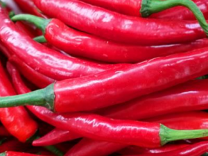 �����Զ������ЩΣ��