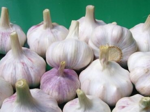 ���ⲻ������Щʳ��ͬʳ