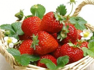 �������������� ��ҽ����������ĵ���