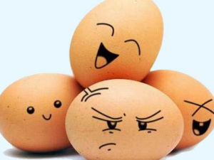 �Լ���������7���� ��Ҳ��������