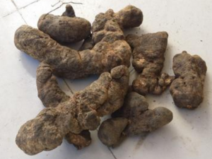 ���ߵĹ�Ч���� ������Ż�¶���������