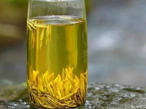 ������ƶѪ����Ӧ����ô�� ������ƶѪ������ƫ��