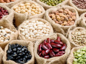 ʹ�粡�˶�����ν��� ��֪������Щ������