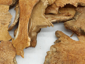 �����ڵĹ�Ч���� ���������ʪ�η�ʪ�Խ����ʹ