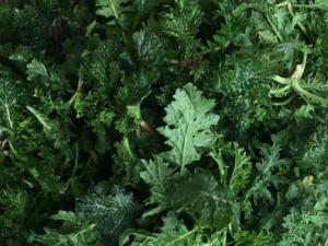 �ǲ˵Ĺ�Ч���� �ǲ��ε�������