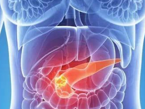 �᳦��������λ��� �᳦������к��ԭ��