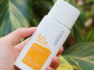 �����ﶬ���������ɻ� �������������Ƽ�