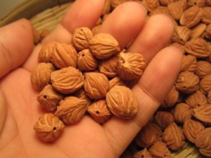 ë��������ЩӪ����ֵ �����ѡë����