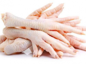 �����ѡ���ʼ�צ ���ʼ�צ��Ӫ����ֵ