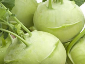 ʲô���������� �����ѡ����