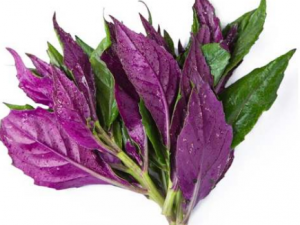 �ϱ������Ӫ����ֵ �����ѡ�ϱ����